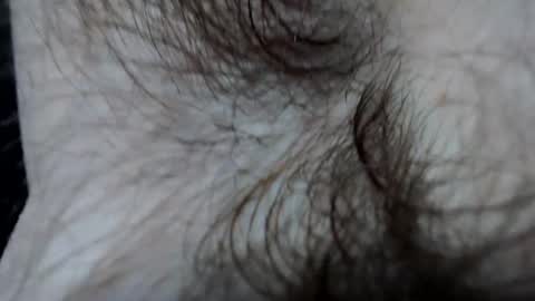 branflakes_ online show from February 2025 11:10:02 PM