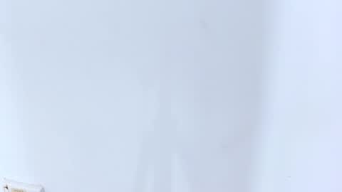 Brittany  online show from February 2025 02:18:01 AM