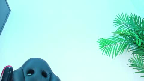 Snapshot of briyit_doll chatting on February 2025 06:32:01 AM BRIYIT online show from February 2025 06:32:01 AM