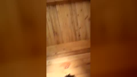 bbc online show from January 2026 11:25:01 AM