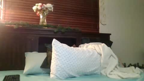 Snapshot of brownsugar0910 chatting on December 2024 12:46:02 AM EtherealLilac online show from December 2024 12:46:02 AM