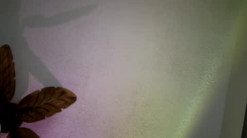 Snapshot of brownsugar0910 chatting on March 2025 03:23:02 PM EtherealLilac online show from March 2025 03:23:02 PM