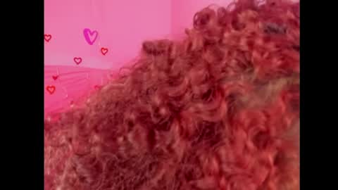 Lady  online show from February 2025 07:39:01 PM