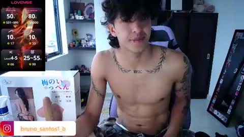 Snapshot of bruno_santos1 chatting on June 2026 12:19:02 PM Bruno online show from June 2026 12:19:02 PM