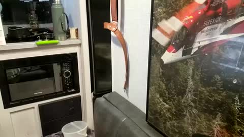 Steve... aka SkinnieDippin aka TimberTramp online show from February 2025 10:07:02 AM