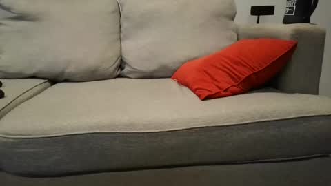 Buck online show from September 2025 02:42:02 PM