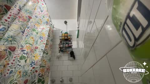 Snapshot of bukkakebae chatting on September 2025 08:20:02 PM bukkakebae online show from September 2025 08:20:02 PM