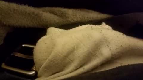 Snapshot of bulkyboners chatting on February 2026 07:01:02 AM ejaculation for 250 online show from February 2026 07:01:02 AM