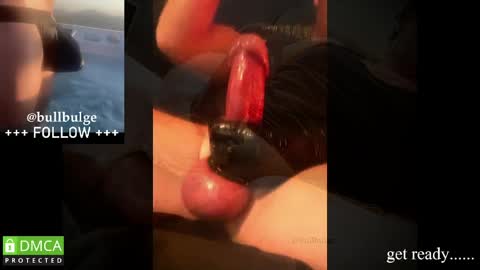 Snapshot of bullbulge chatting on May 2026 03:02:02 AM Bull. online show from May 2026 03:02:02 AM