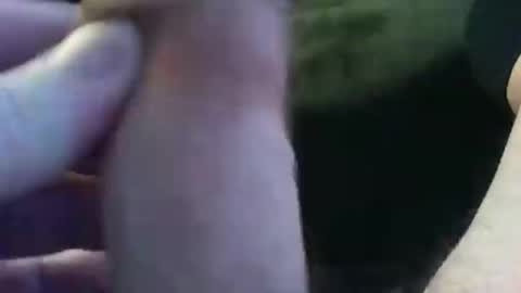 bullemoe online show from January 2025 07:42:01 AM