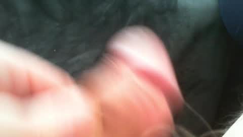 bullemoe online show from March 2025 11:42:02 AM