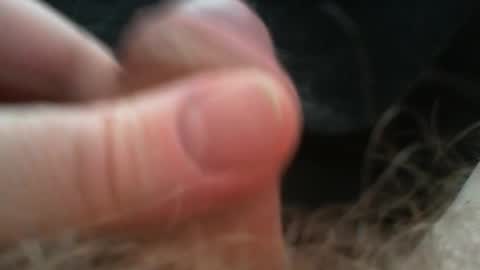 bullemoe online show from February 2026 09:52:02 AM