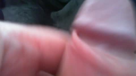 bullemoe online show from February 2026 12:42:02 PM