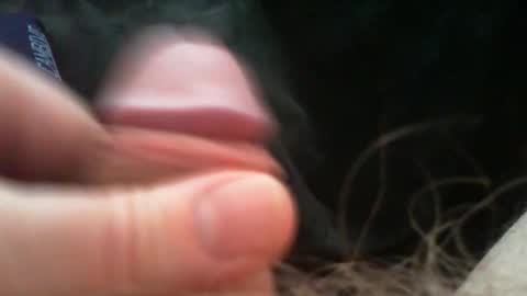 bullemoe online show from March 2026 07:05:01 AM