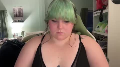 bumblebeebuzzer online show from February 2025 10:48:02 PM
