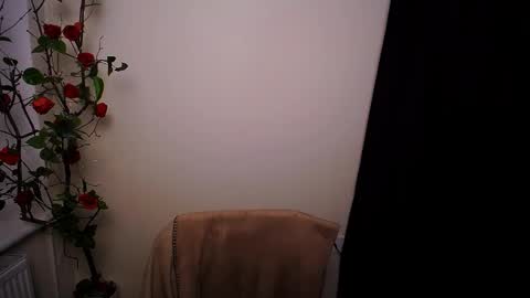 Ariel online show from March 2026 09:08:01 PM