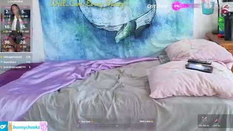 Tokki  bunny  online show from May 2026 02:03:02 PM