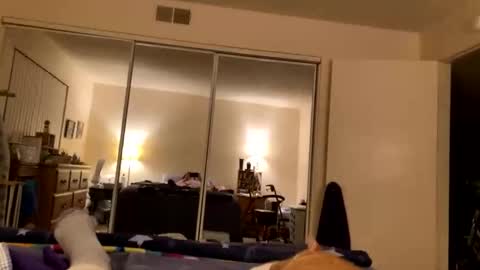 busty_2008 online show from March 2026 05:47:02 AM