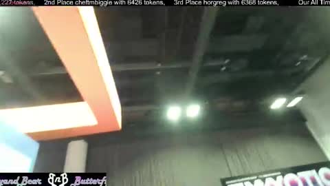 Butterfly and Bear online show from June 2026 06:57:02 PM