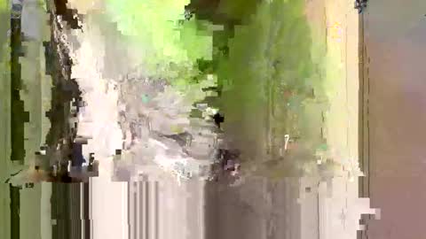 Snapshot of bxbomber2012 chatting on April 2026 08:00:02 PM bxbomber2012 online show from April 2026 08:00:02 PM