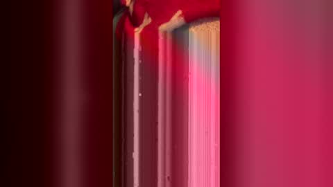 bxmill online show from February 2026 03:16:02 AM