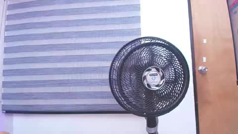 Carolina online show from February 2025 03:06:02 AM