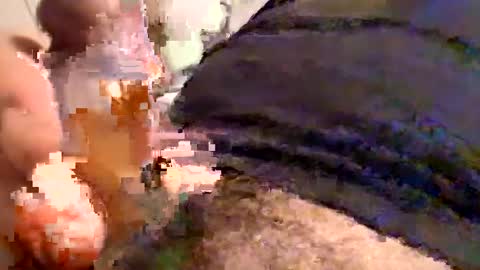 Cactus1041 online show from December 2024 05:58:02 AM