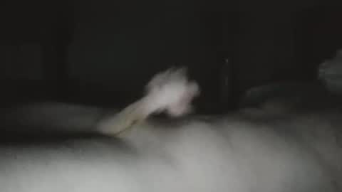 caguy2810 online show from December 2025 10:19:01 PM