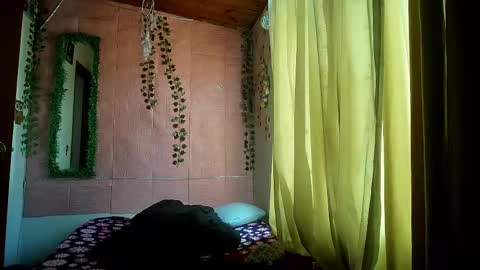 paula online show from June 2026 06:46:02 PM