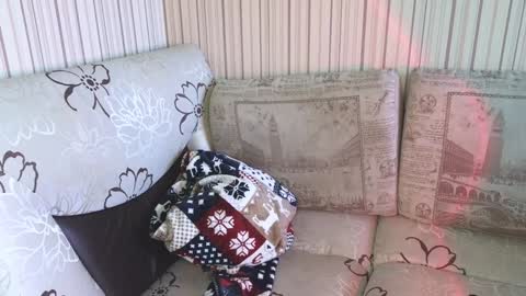 Cameron online show from January 2025 09:17:02 AM