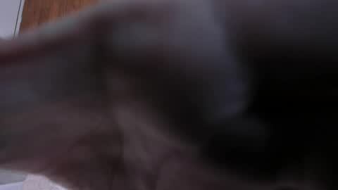 camilaa_smith_ online show from April 2026 07:55:02 PM