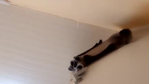 camilarubla online show from December 2025 06:46:02 PM