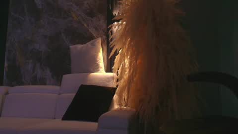 Snapshot of camiloalvarezzz3 chatting on June 2026 11:41:02 AM CAMILO online show from June 2026 11:41:02 AM