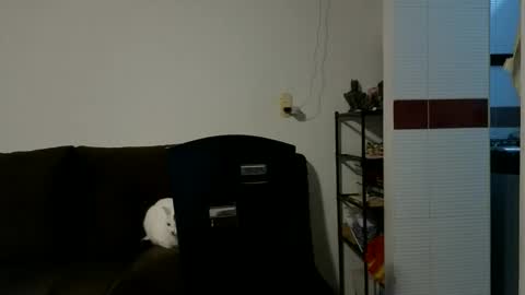 Snapshot of camiloex chatting on October 2025 09:26:01 PM Camilo online show from October 2025 09:26:01 PM