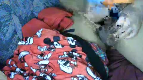 Snapshot of cancer7777 chatting on March 2025 06:15:02 AM 7777 online show from March 2025 06:15:02 AM