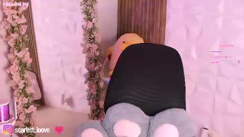 Snapshot of candy_latinaa chatting on July 2026 02:38:02 AM online show from July 2026 02:38:02 AM