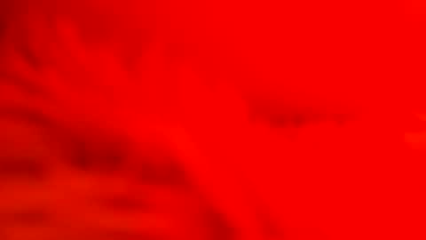 captain_nature online show from February 2025 07:09:01 AM