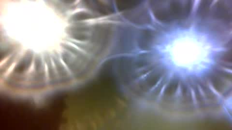 carlholmesjr20 online show from December 2025 11:02:01 PM