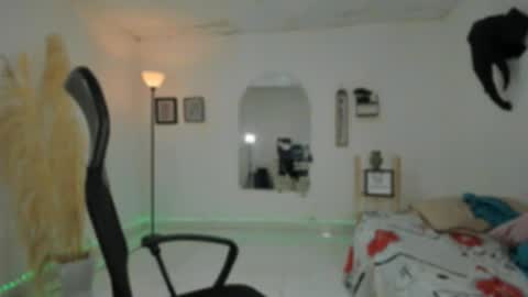 master online show from November 2025 12:41:02 PM