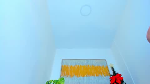 Snapshot of carlota_peach chatting on January 2025 03:17:02 PM Andrea online show from January 2025 03:17:02 PM