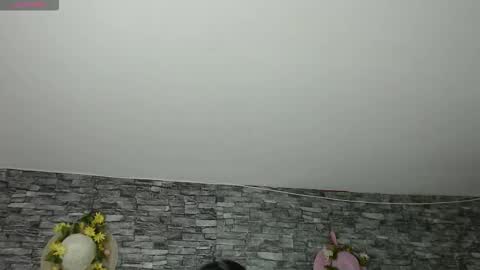 Camelia online show from November 2025 03:16:02 AM