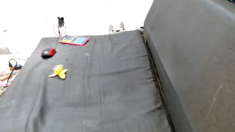 carol my sign is capricorn online show from December 2024 12:41:02 AM