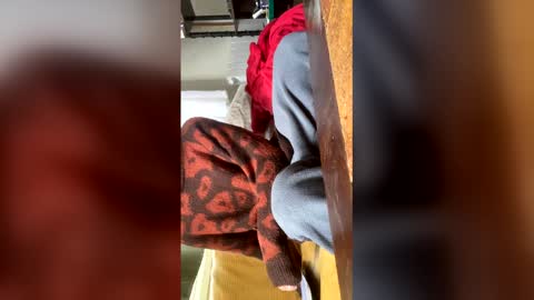 carrrigggg online show from March 2026 09:15:02 AM