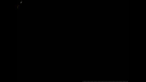 caryb online show from December 2024 06:04:01 AM