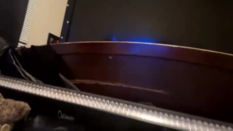 Snapshot of casidy1 chatting on January 2025 09:10:02 AM casidy1 online show from January 2025 09:10:02 AM