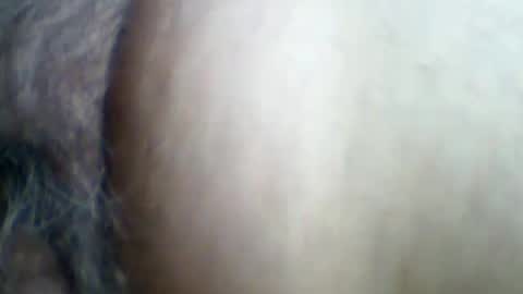 castells online show from June 2026 03:03:01 PM