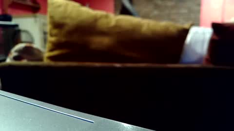 Snapshot of castration40 chatting on October 2025 08:39:01 AM castration40 online show from October 2025 08:39:01 AM