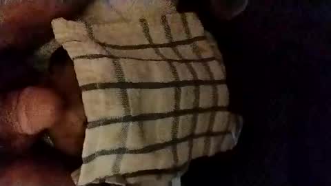 catdaddy179057 online show from October 2025 12:06:01 PM