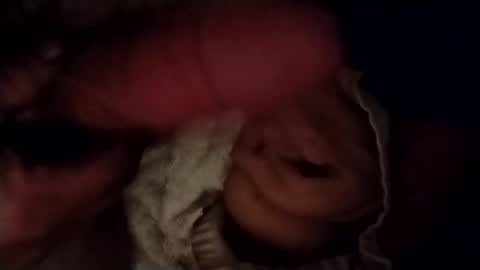 catdaddy179057 online show from February 2026 11:30:01 AM