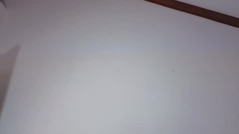 cattaleya time schedule 2200 - 0600 GMT -5 online show from February 2026 03:35:02 AM